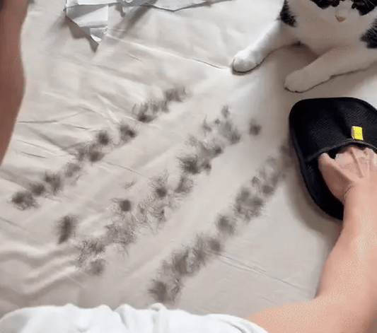 Rukavica za Uklanjanje DLAKA - The Magic Brush™ - Vufri Shop